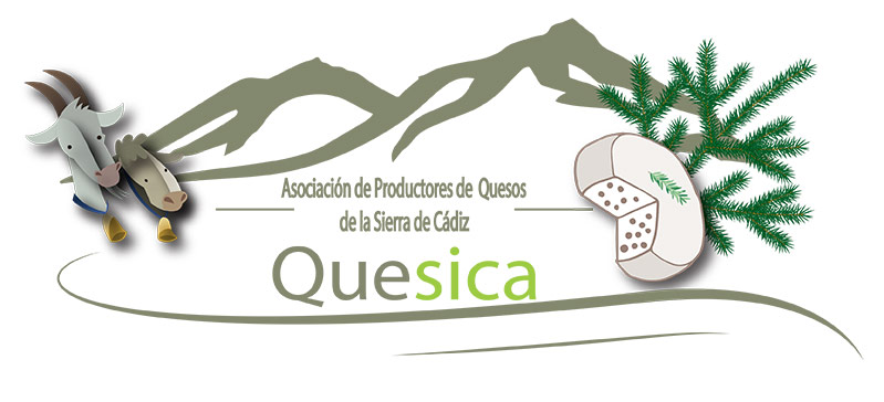 Queso Sierra de Cádiz